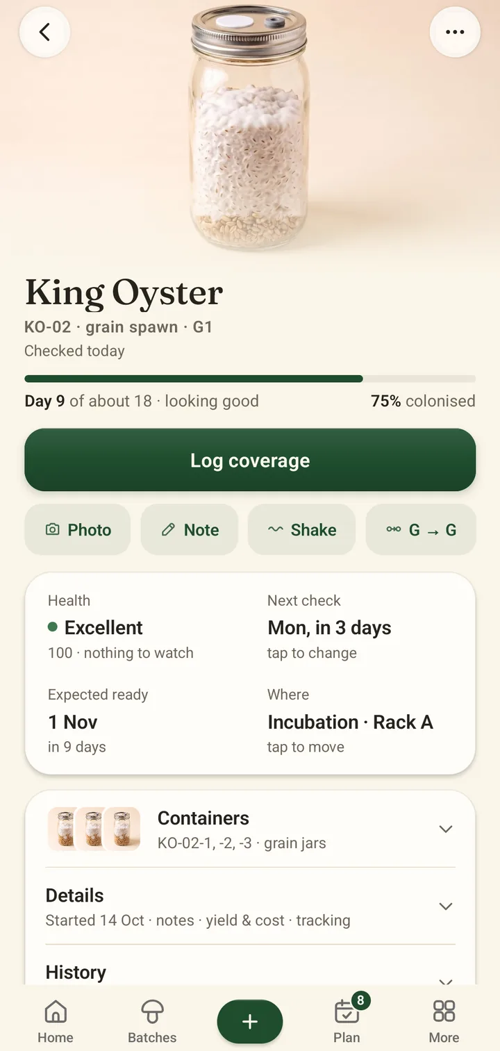 A batch page for king oyster grain spawn, day 9 of about 18, 75 percent colonised, with a photo of the jar and a Log coverage button.